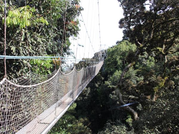 Rwanda bird watching holiday and gorilla trek