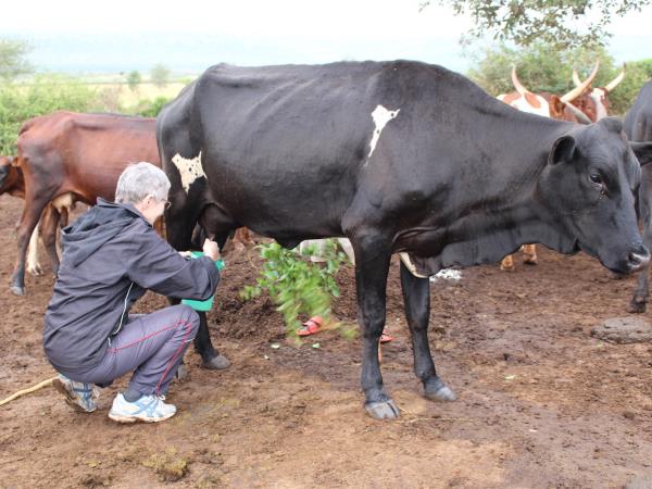 Rwanda cultural and gorilla safari