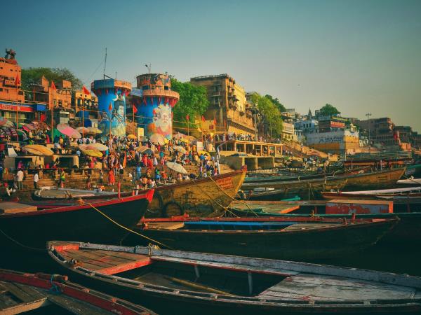 North India tiger and cultural tours