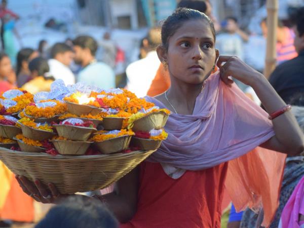 North India tiger and cultural tours