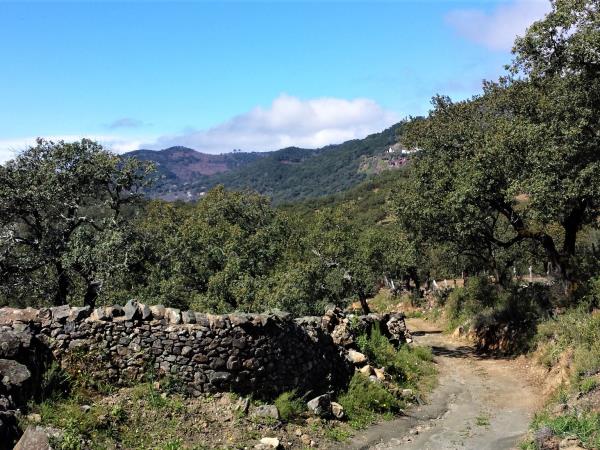 Andalusia centre based walking holiday, Spain