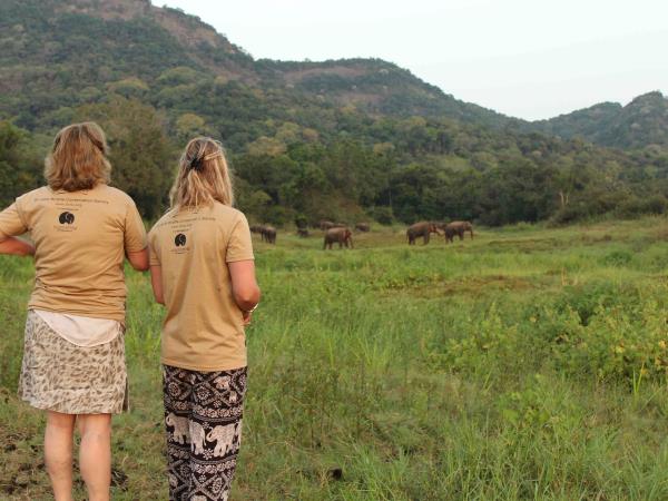 Sri Lanka elephant conservation holiday