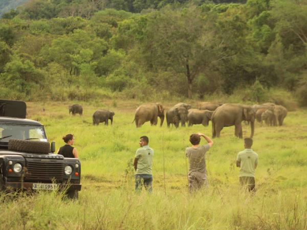 Sri Lanka elephant conservation holiday