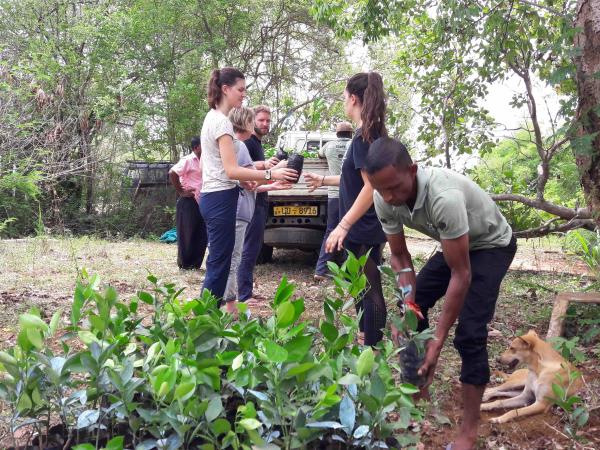 Sri Lanka elephant conservation holiday