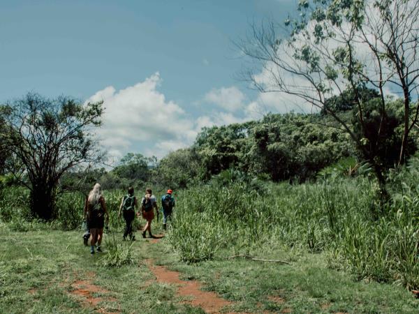 Sri Lanka elephant conservation holiday
