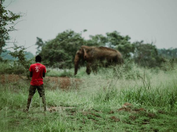 Sri Lanka elephant conservation holiday