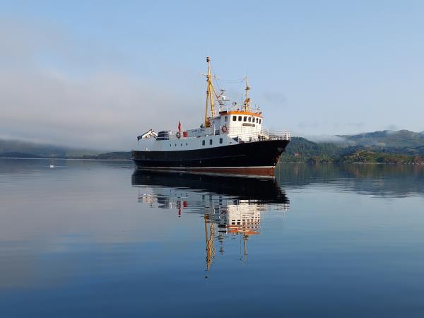 Inner Hebrides wildlife cruise