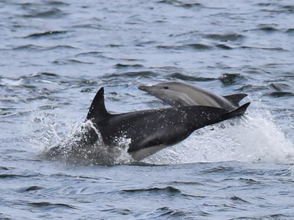 Scotland private charter sailing holidays
