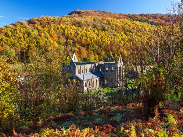 Black Mountains and Wye Valley walking holiday