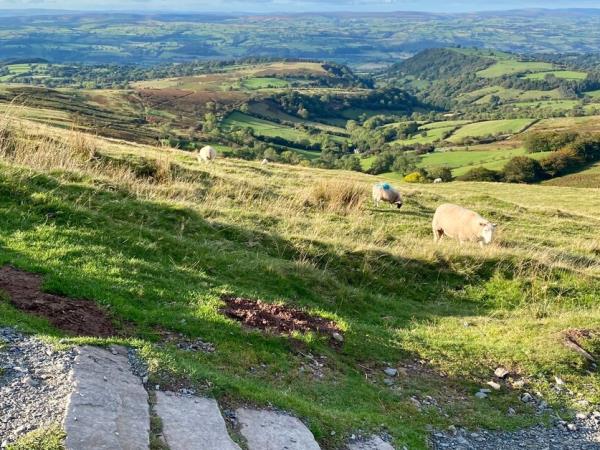 Black Mountains and Wye Valley walking holiday