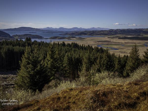 Whisky and wildlife sailing holiday in Scotland