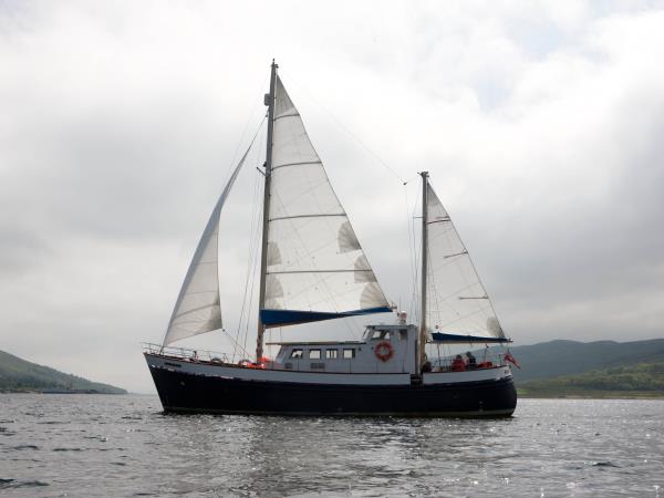 Wildlife sailing holiday in Scotland