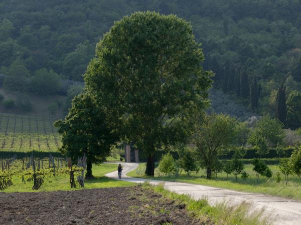Verona to Venice cycling holiday in Italy