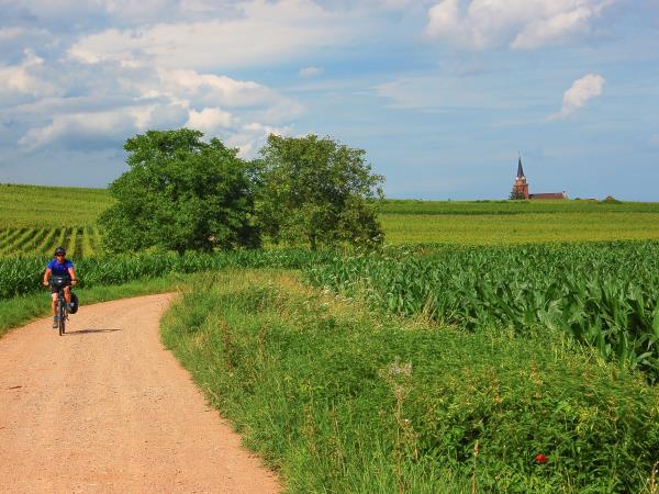 Cycling holiday in Alsace, France