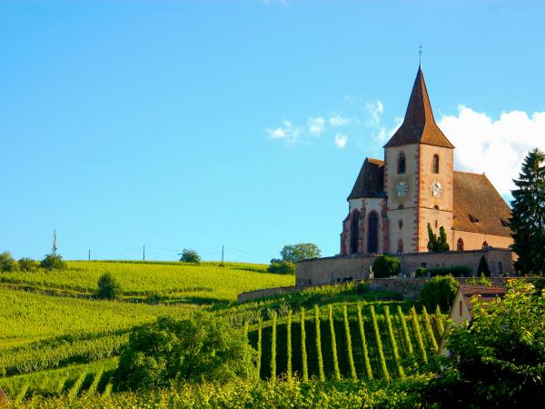 Cycling holiday in Alsace, France