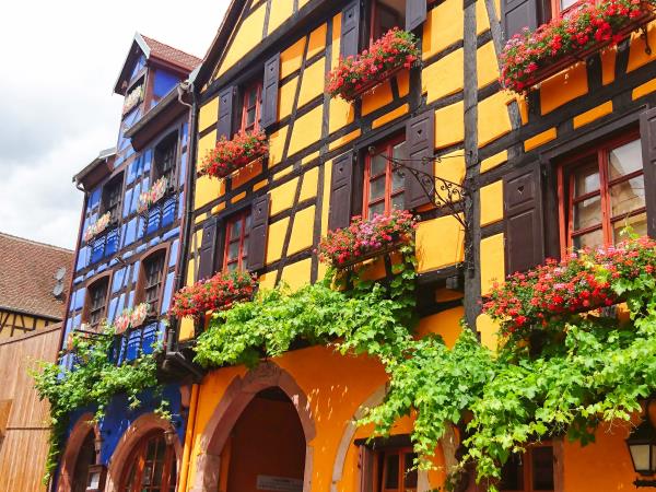 Cycling holiday in Alsace, France