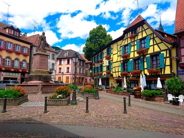 Cycling holiday in Alsace, France