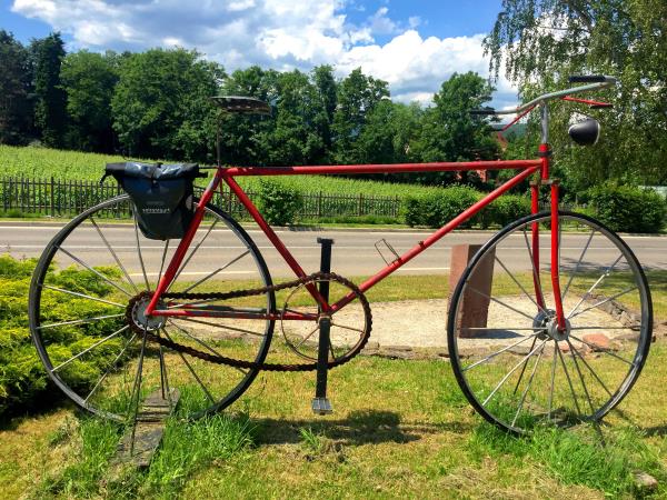 Cycling holiday in Alsace, France
