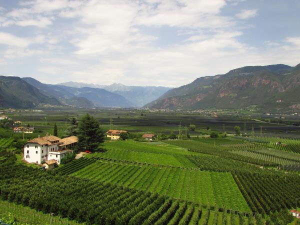 Dolomites to Verona cycling holiday in Italy