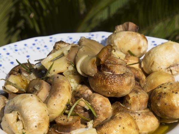 Vegetarian cuisine holiday in Greece
