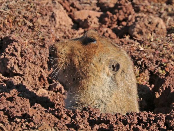Ethiopia small group wildlife tour