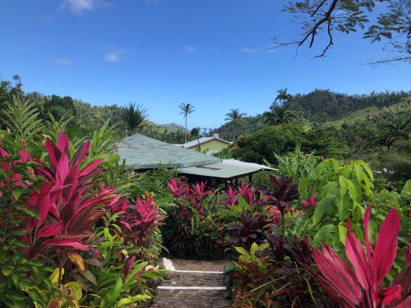 Dominica walking holidays