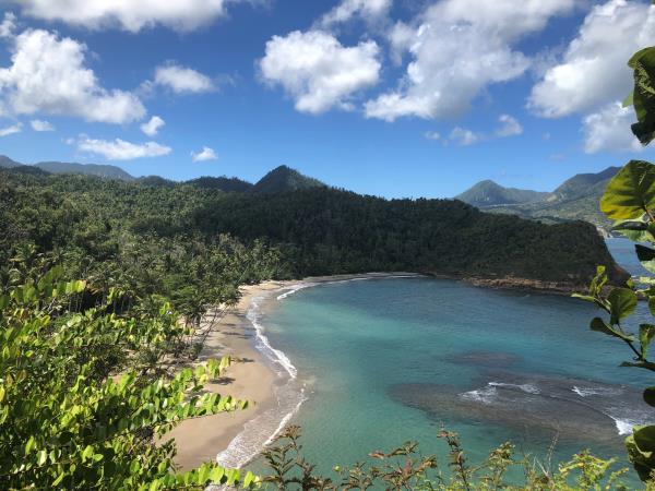 Dominica walking holidays
