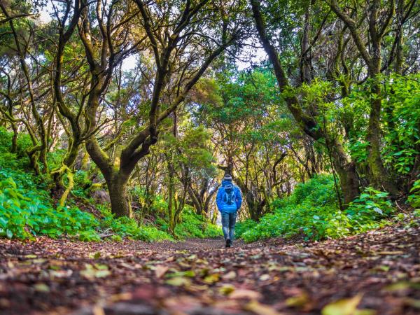 Canary Islands walking holiday, El Hierro