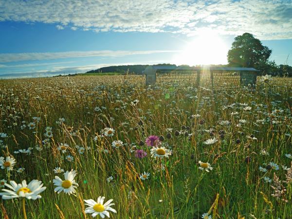 The Cotswold Way walking holiday in England