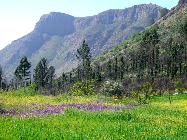 Gran Canaria walking holiday