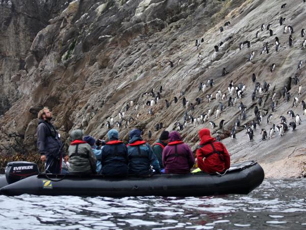 New Zealand cruise with Stewart Island & The Snares