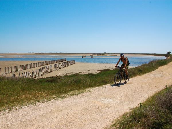 Provence to Camargue cycling holiday in France