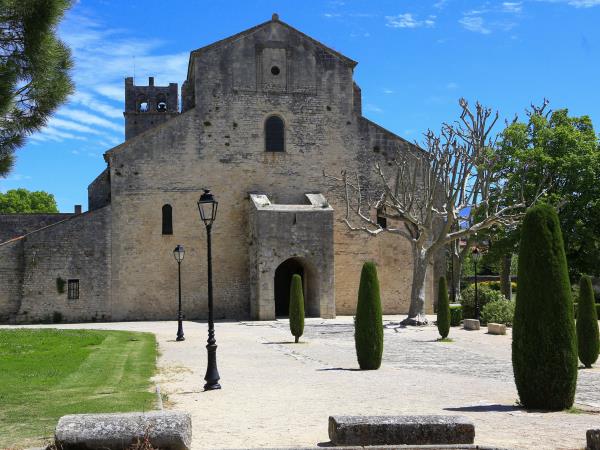 Provence to Camargue cycling holiday in France