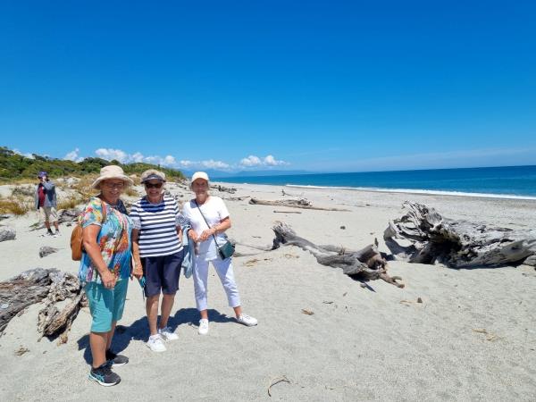 New Zealand south island group tour