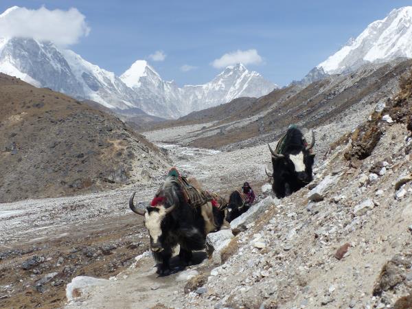 Everest Base Camp via Gokyo Lakes trek