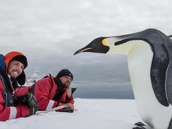 Ross Sea Antarctic Islands cruise from New Zealand