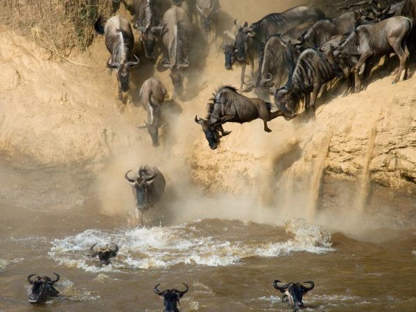 Kenya migration safari holiday