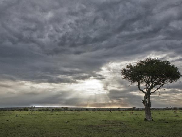 Kenya migration safari holiday