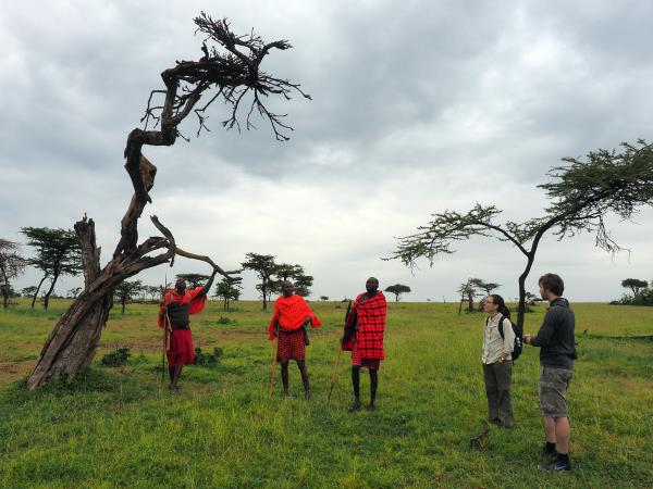 Kenya migration safari holiday