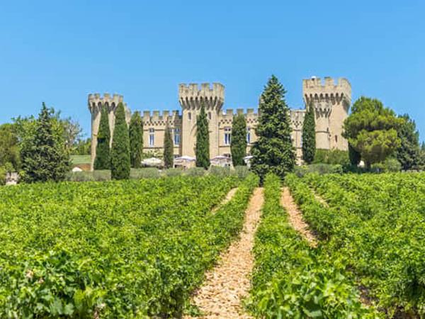 Avignon & Cotes du Rhone cycling holiday
