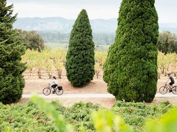 Avignon & Cotes du Rhone cycling holiday