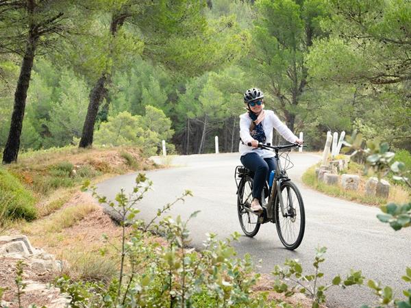 Avignon & Cotes du Rhone cycling holiday