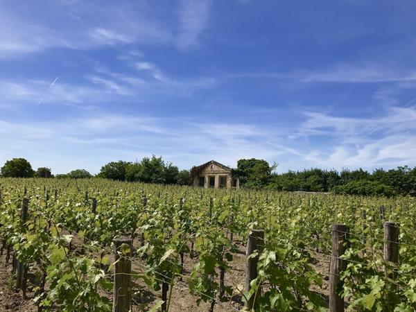 Bordeaux cycling holiday, city & beach
