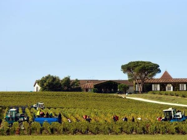 Bordeaux cycling holidays, city & vineyards