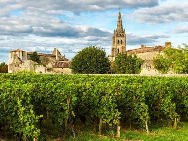 Bordeaux cycling holidays, city & vineyards