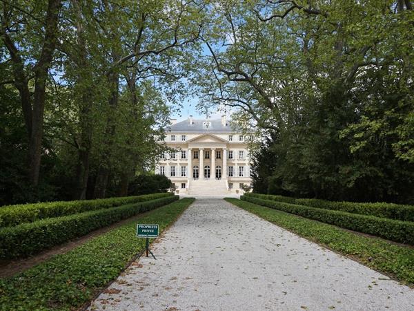 Bordeaux cycling holidays, city & vineyards