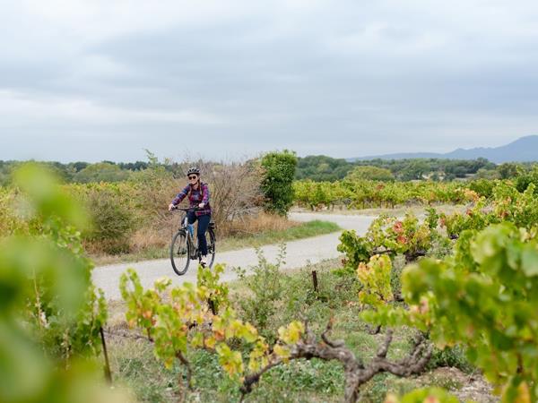Bordeaux cycling holidays, city & vineyards