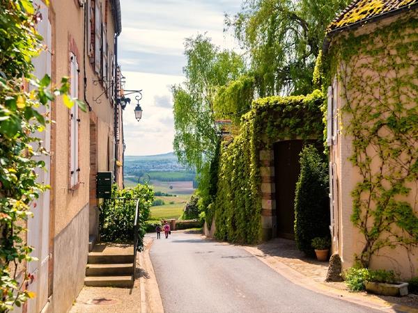 Cycling holiday in Champagne, France