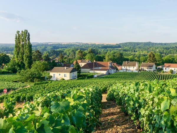 France luxury cycling holidays in Champagne