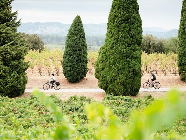 Provence easy cycling holiday in France